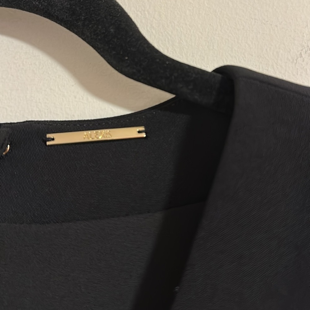 Alexis Elegant Black V-Neck Mini Dress - Picture 3 of 10